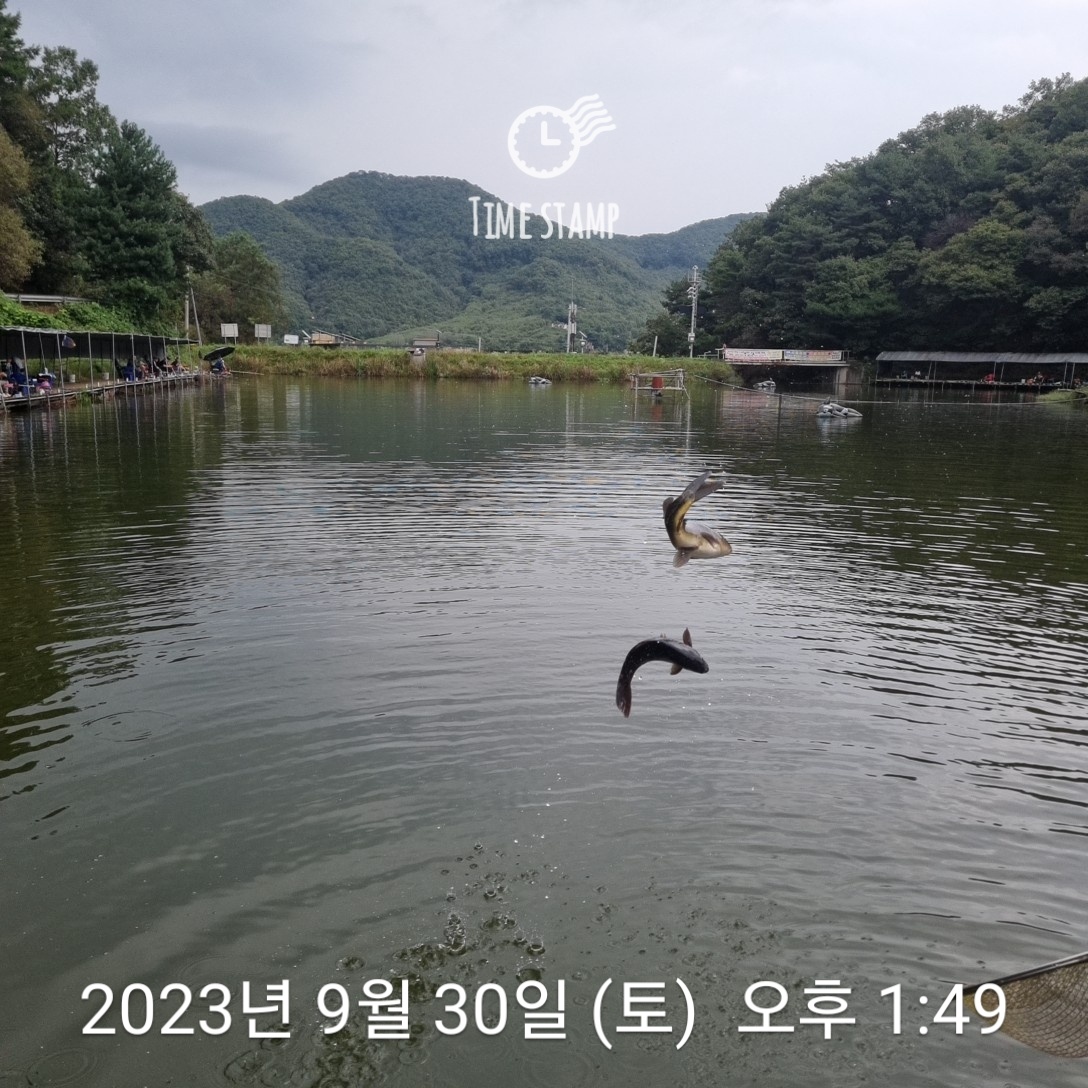 1696051432287.jpg