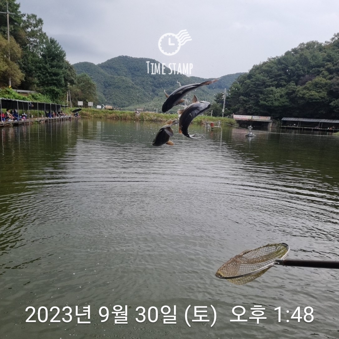 1696051432470.jpg