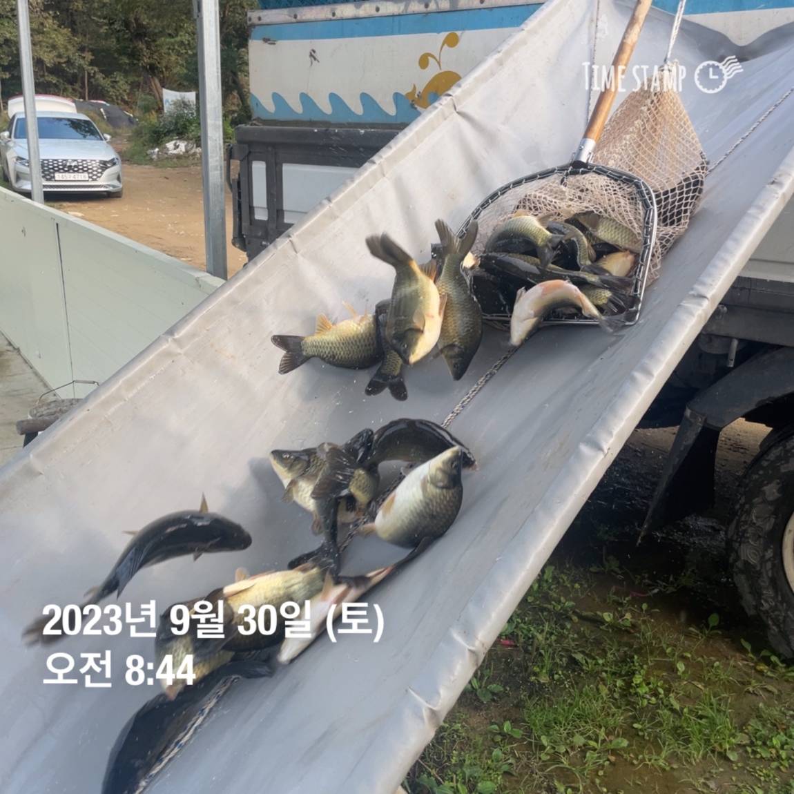 KakaoTalk_20231001_090529113_03.jpg