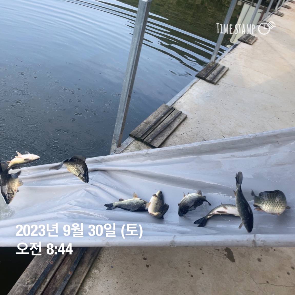 KakaoTalk_20231001_090529113_06.jpg