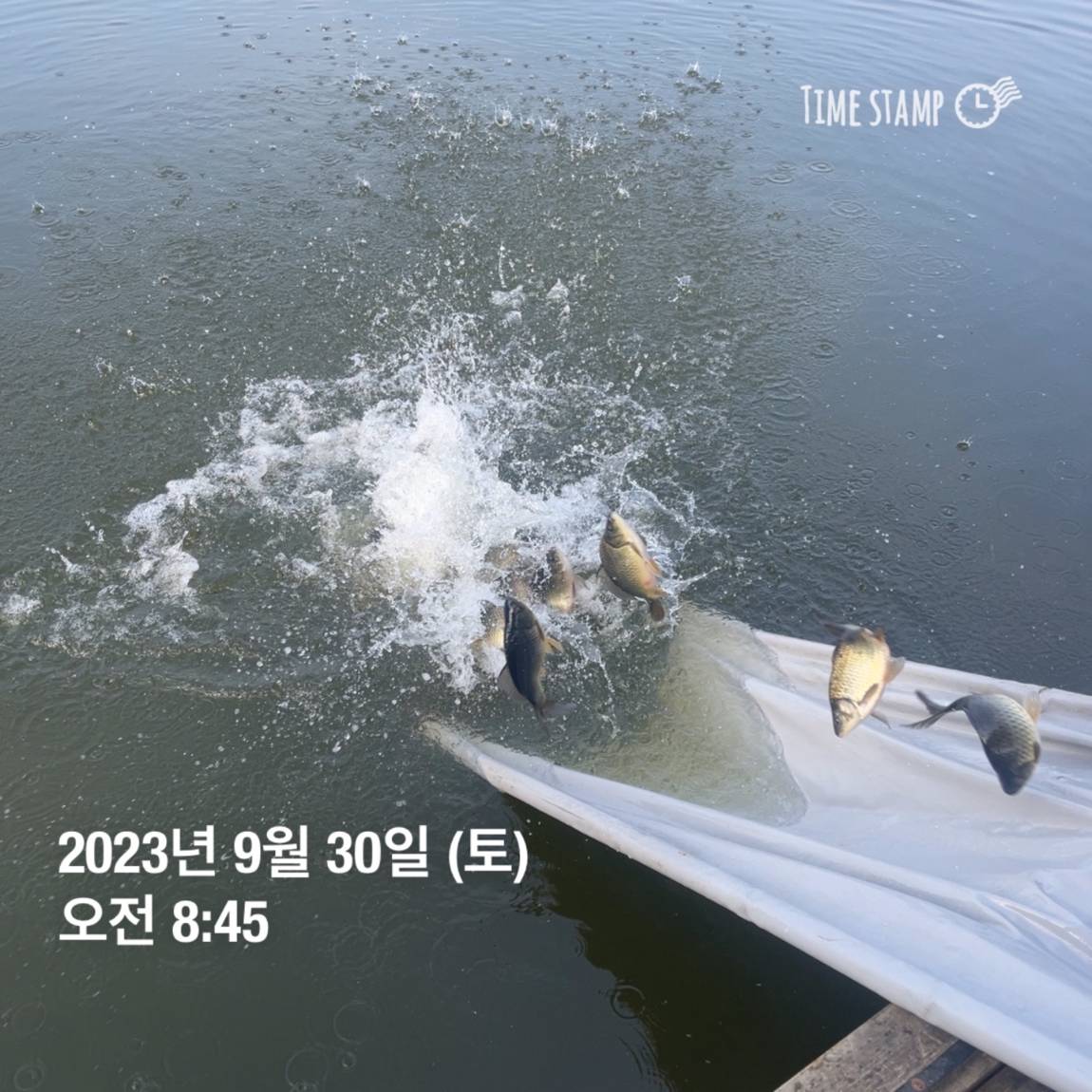 KakaoTalk_20231001_090529113_12.jpg