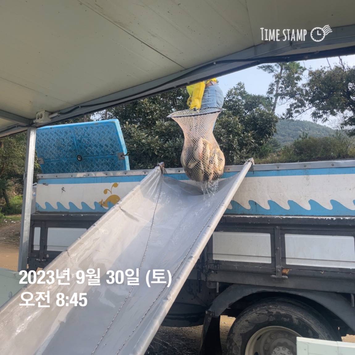 KakaoTalk_20231001_090529113_13.jpg