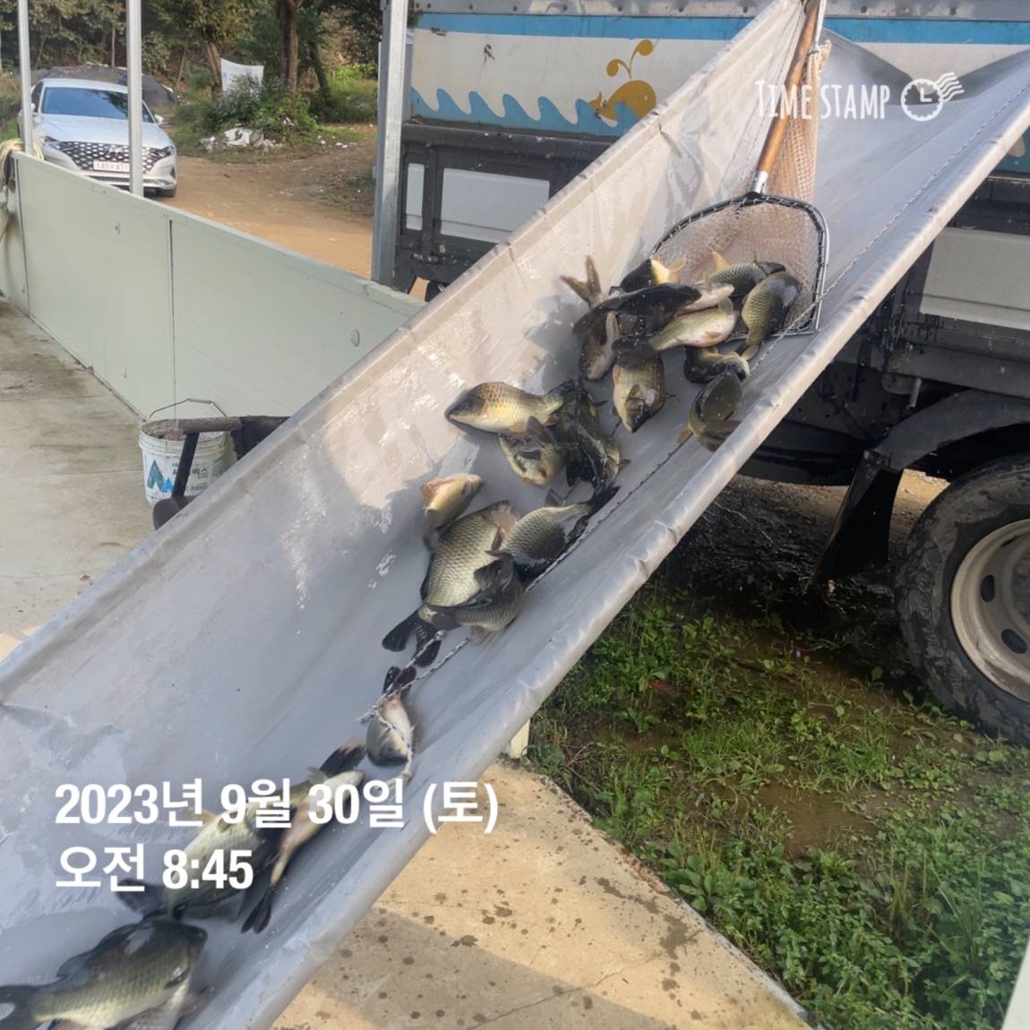 KakaoTalk_20231001_090529113_14.jpg