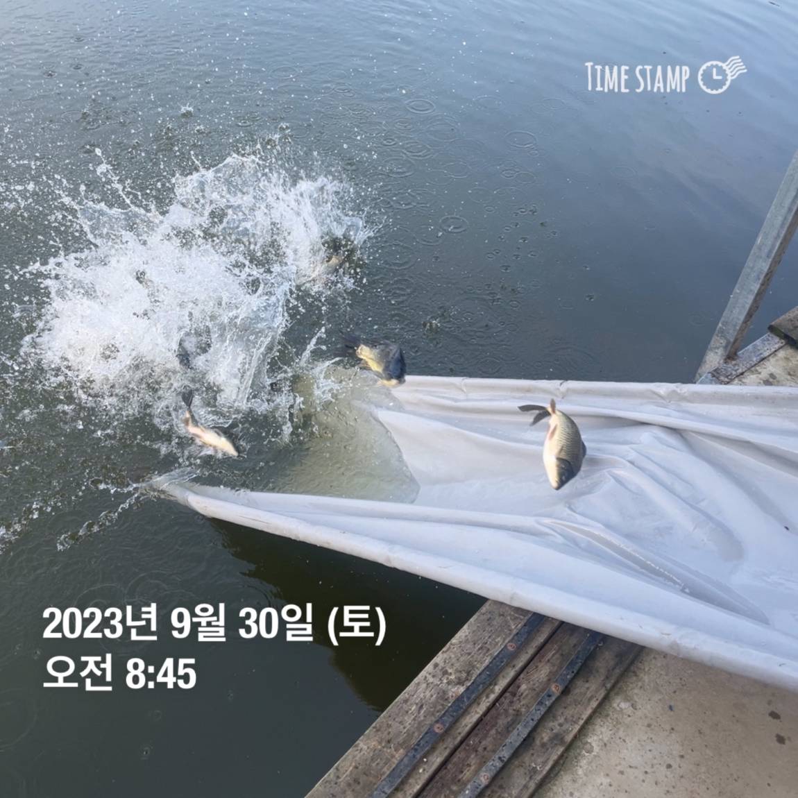 KakaoTalk_20231001_090529113_18.jpg