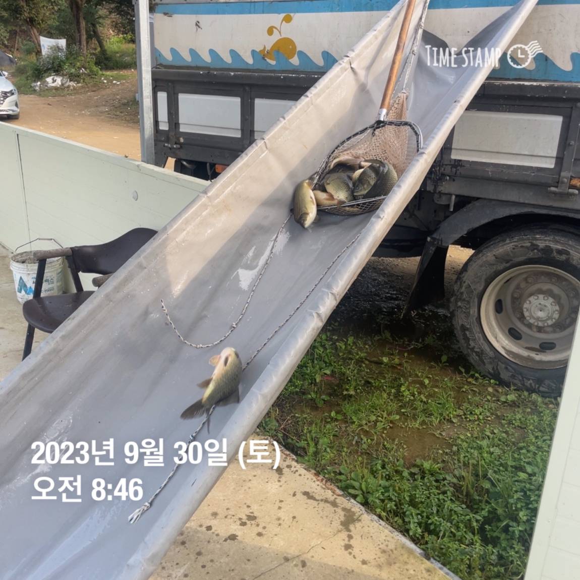 KakaoTalk_20231001_090529113_20.jpg