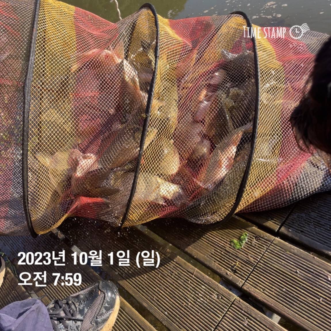 KakaoTalk_20231001_091029612.jpg