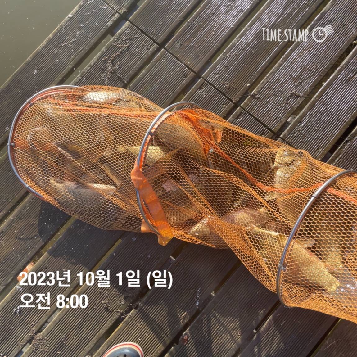 KakaoTalk_20231001_091029612_03.jpg