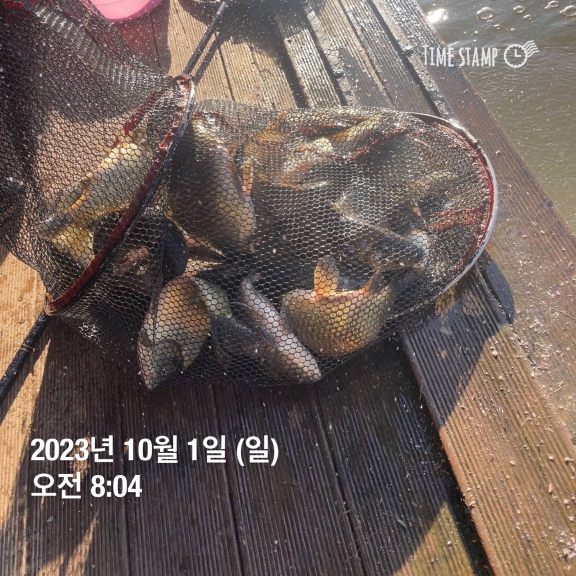KakaoTalk_20231001_091029612_07.jpg