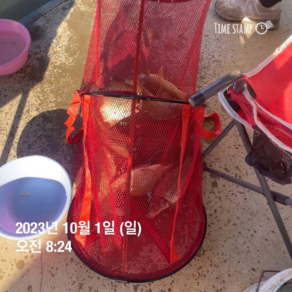 KakaoTalk_20231001_091029612_11.jpg