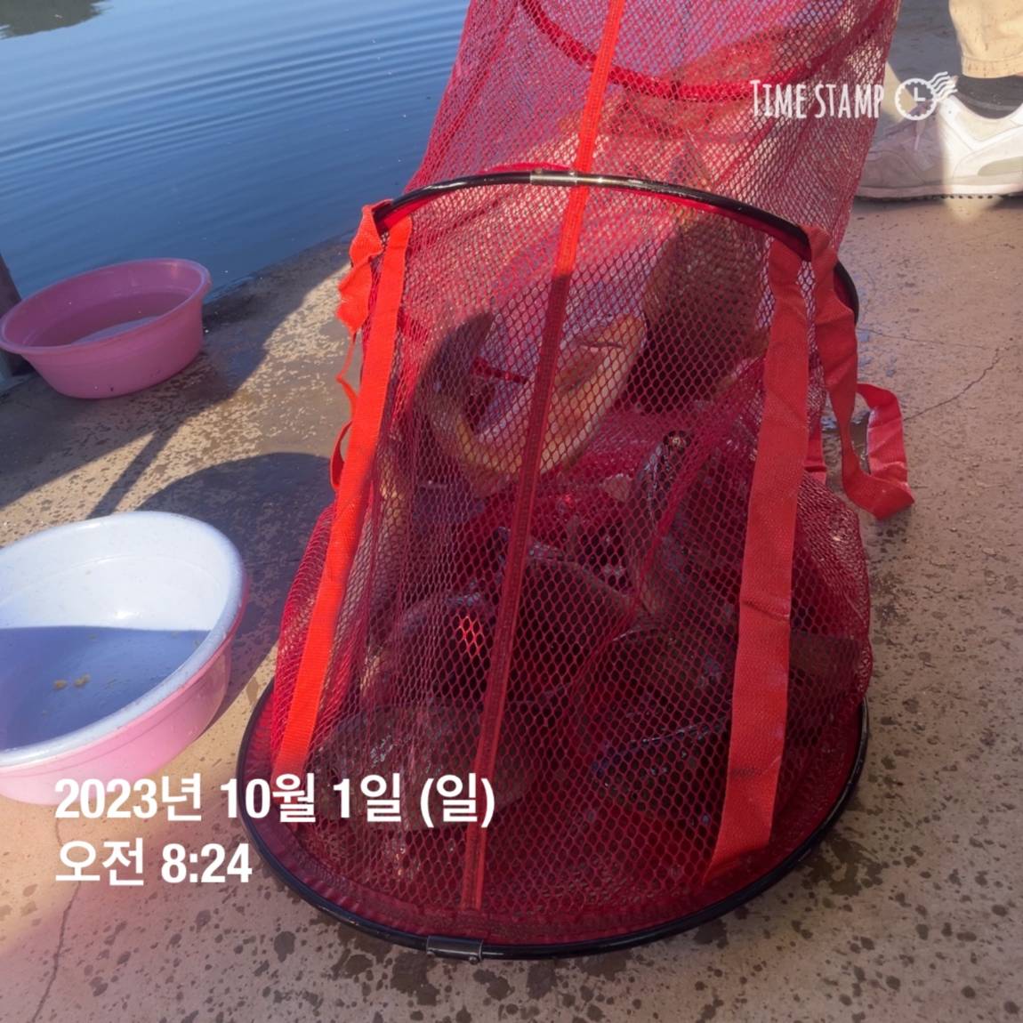 KakaoTalk_20231001_091029612_13.jpg