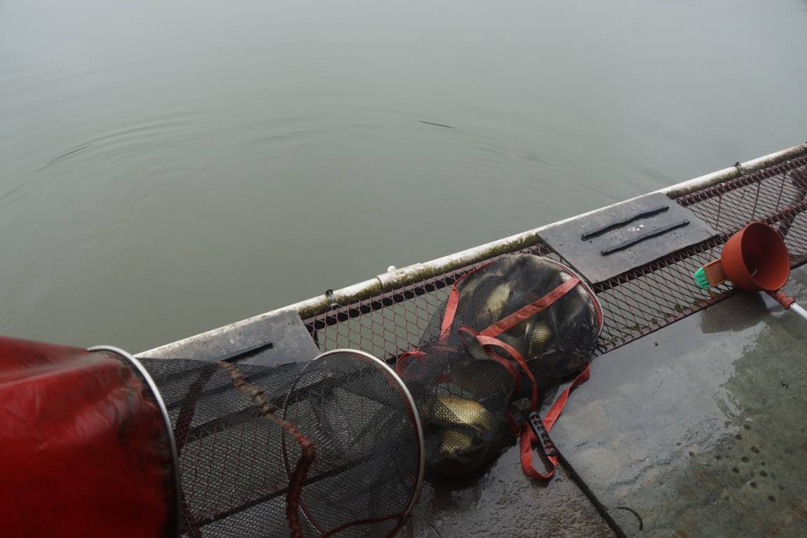 DSC02558.JPG