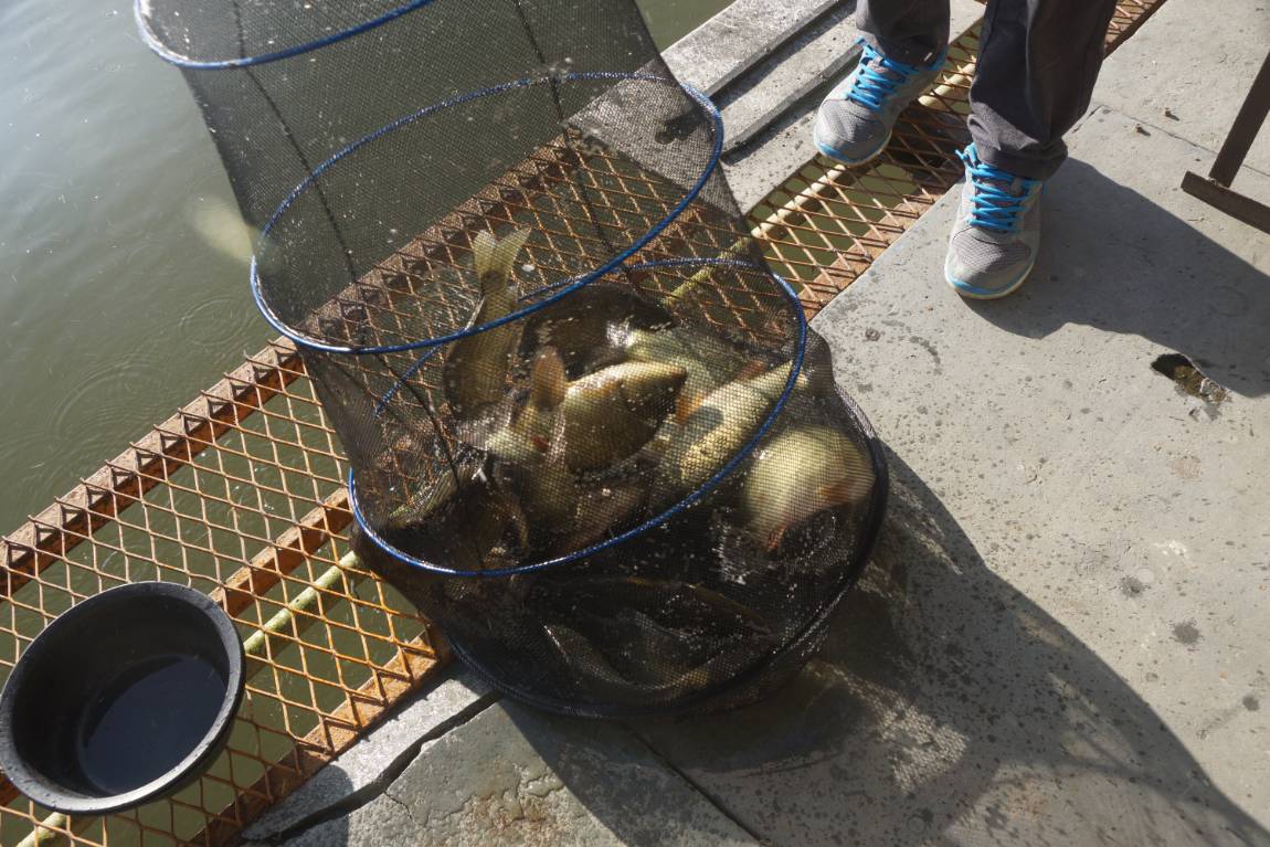 DSC02658.JPG