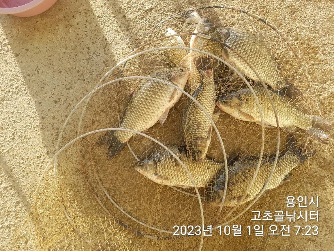 1696127600464.jpg