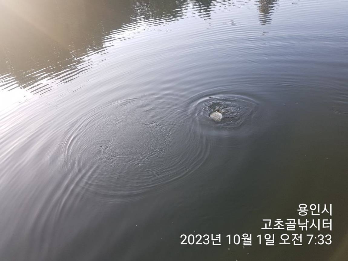 1696127601051.jpg