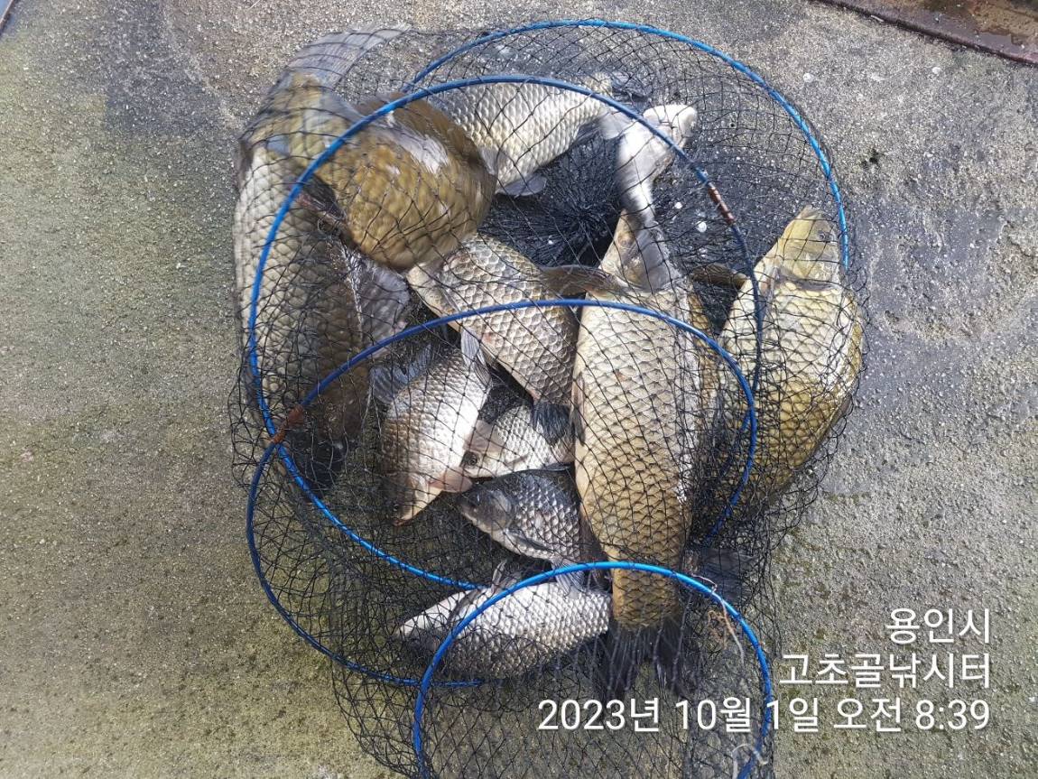 1696127601637.jpg
