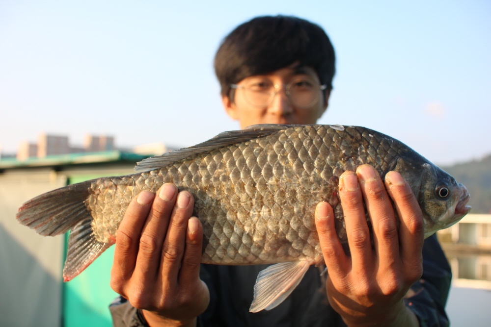 [크기변환]IMG_6168.JPG