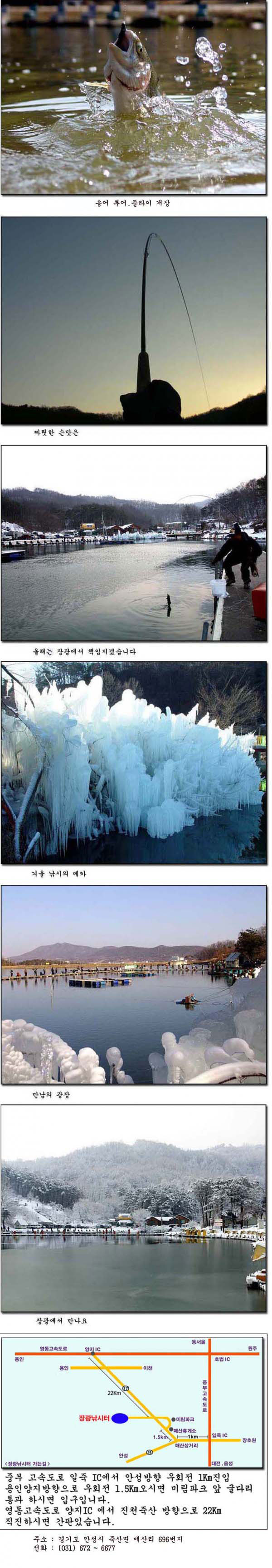 21년송어.jpg
