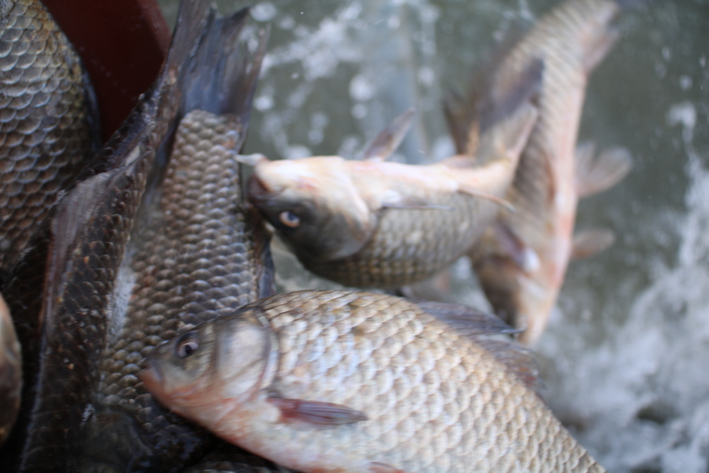 [ũ⺯ȯ]IMG_6727.JPG