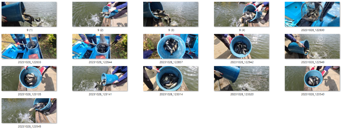 사용자 지정 1.png