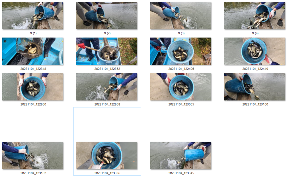 사용자 지정 1.png