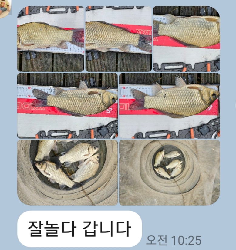 전체.jpg