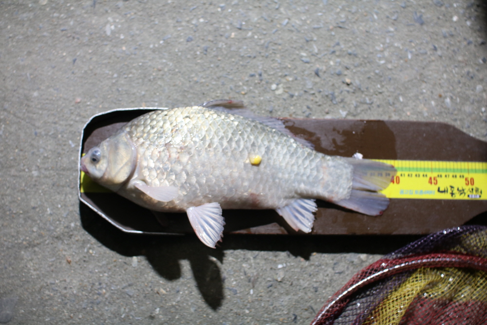 [ũ⺯ȯ]IMG_7210.JPG