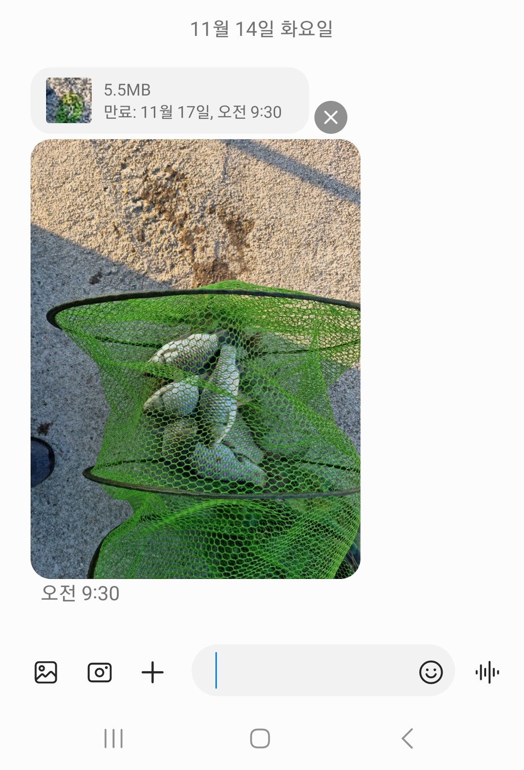 Screenshot_20231116_134942_Messages.jpg