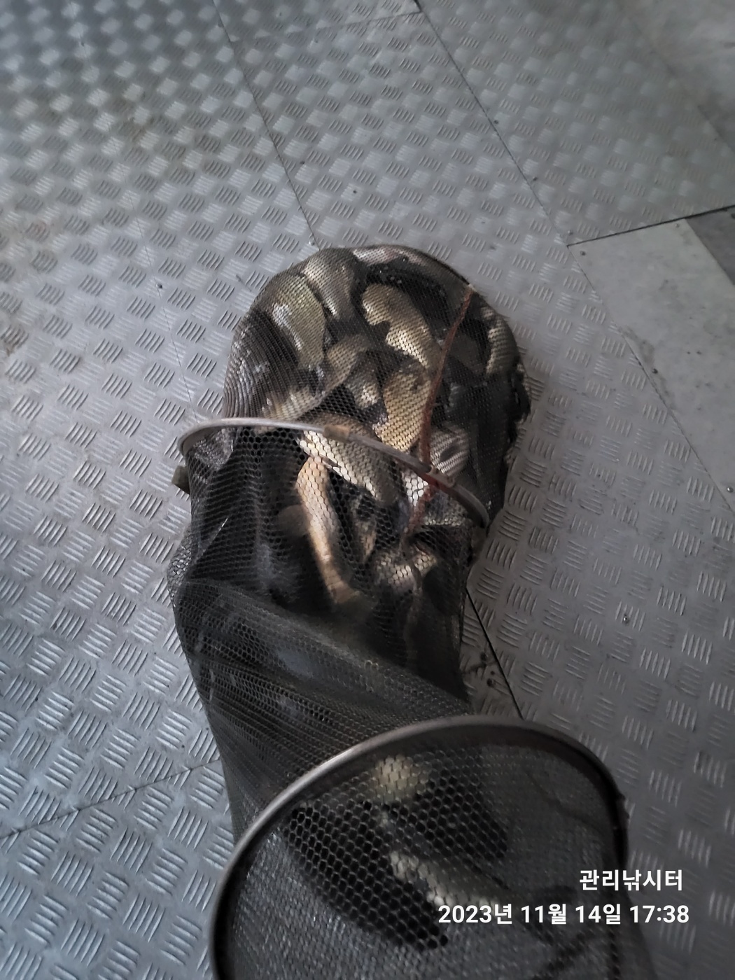 KakaoTalk_20231114_222547555_05.jpg