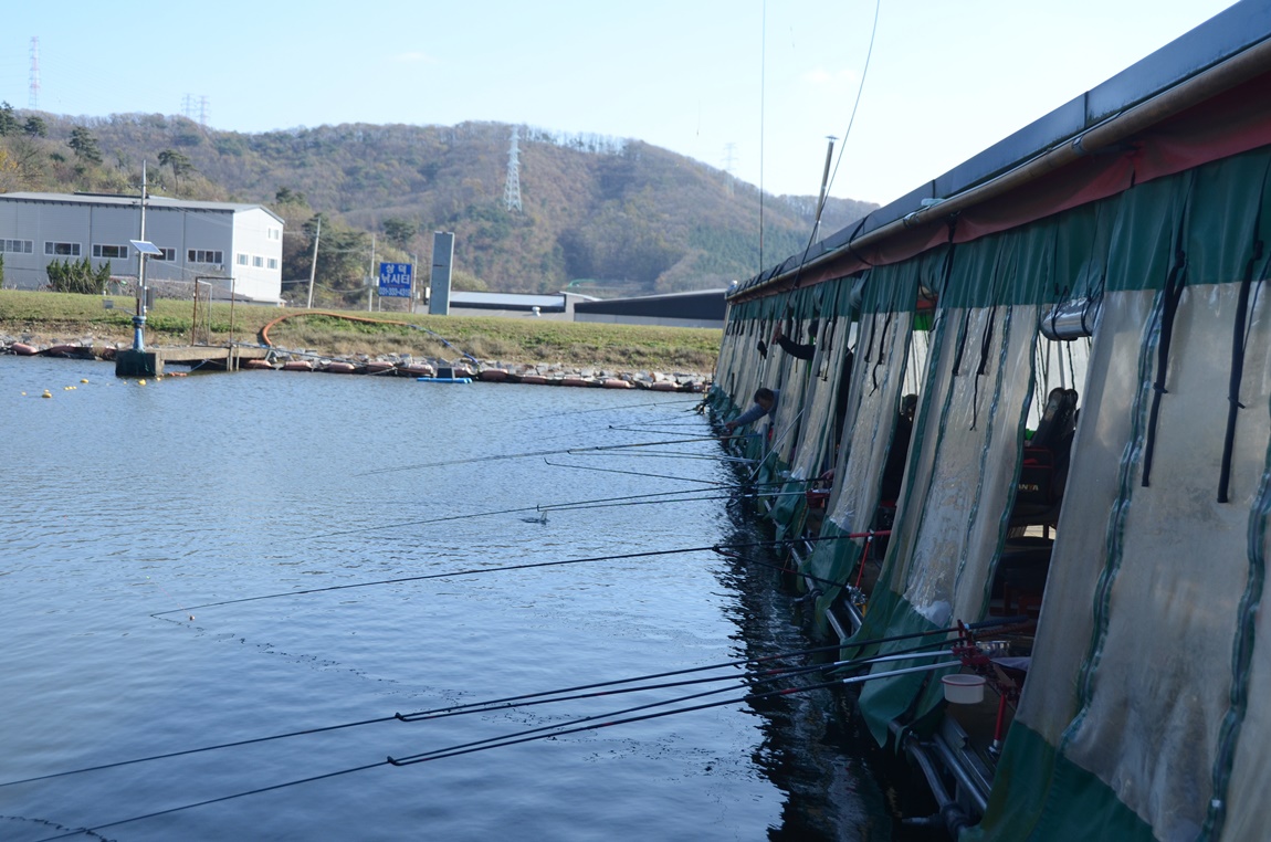 DSC_9832.JPG