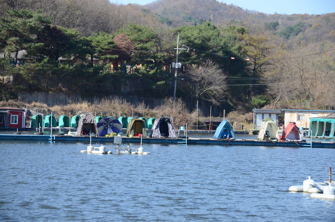 DSC_9831.JPG