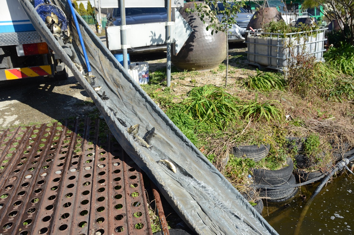 DSC_9819.JPG