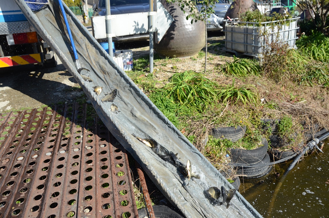 DSC_9821.JPG