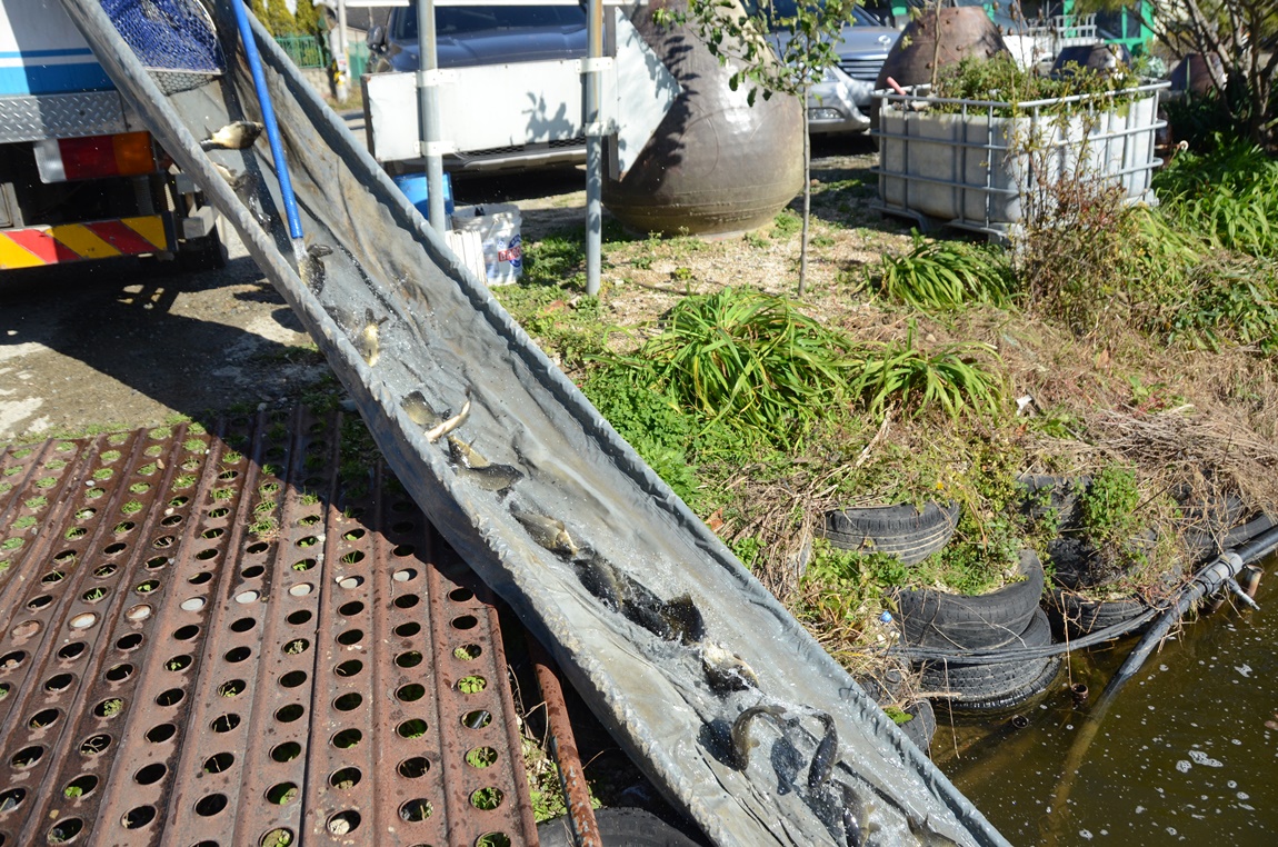 DSC_9820.JPG