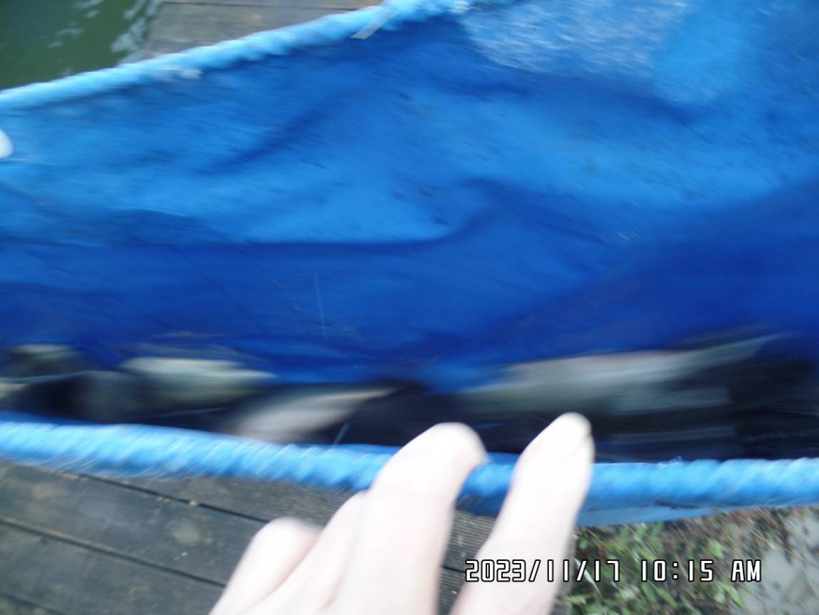 SAM_8436.JPG