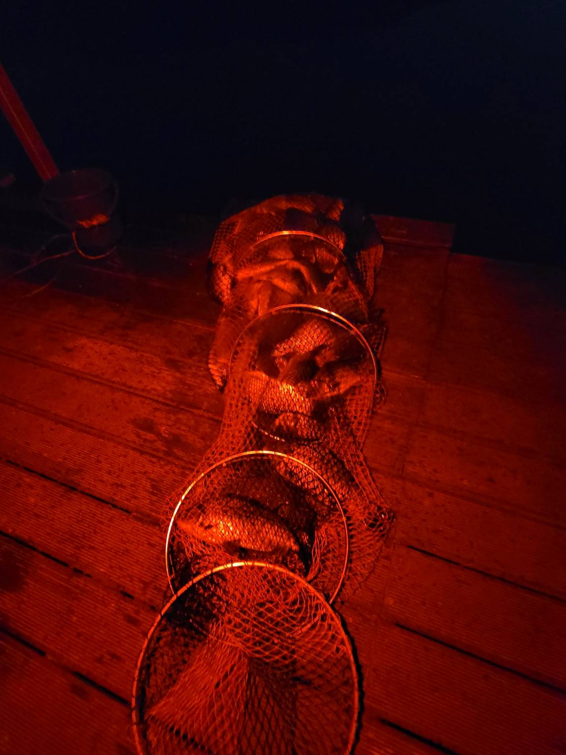 Resized_20231018_193945.jpeg