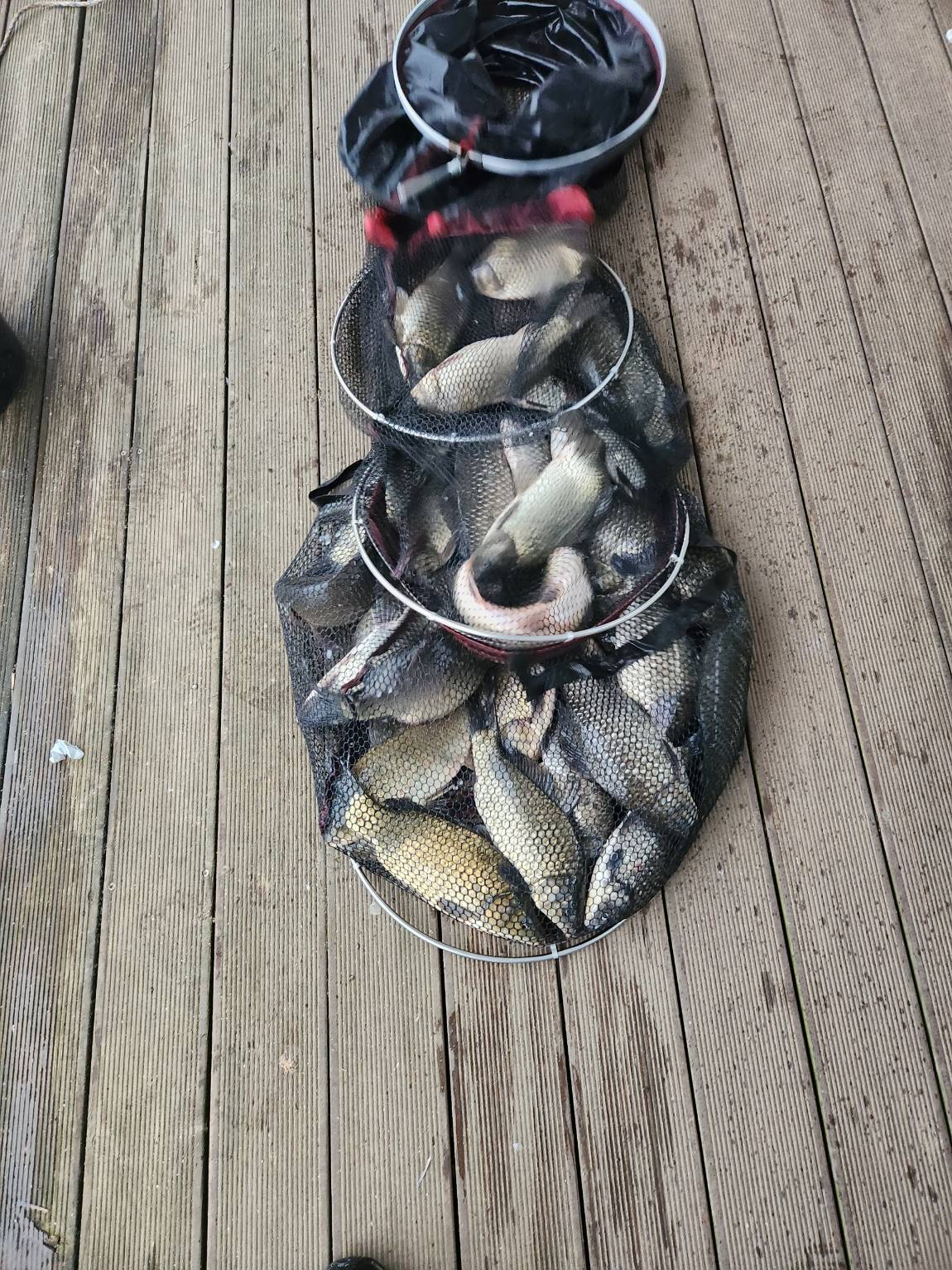 Resized_20231116_164037.jpeg