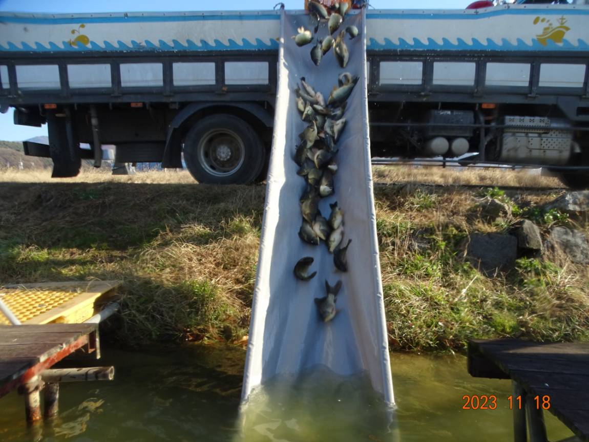 [ũ⺯ȯ]DSC06856.JPG