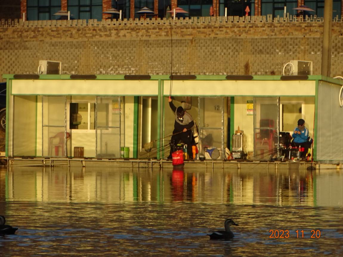 [ũ⺯ȯ]DSC06884.JPG