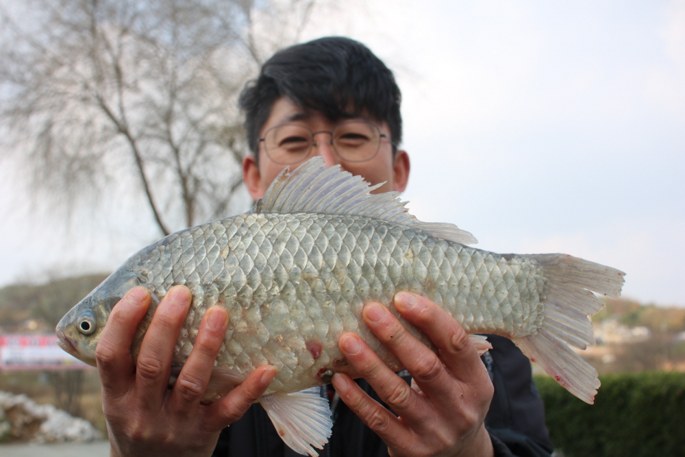 [크기변환]IMG_8184.JPG