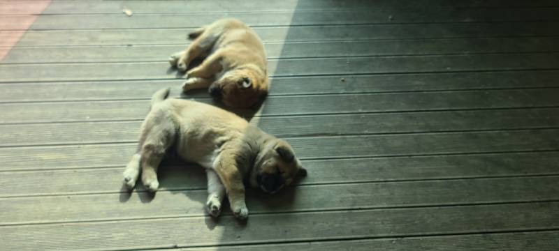 20231123_121917.jpg