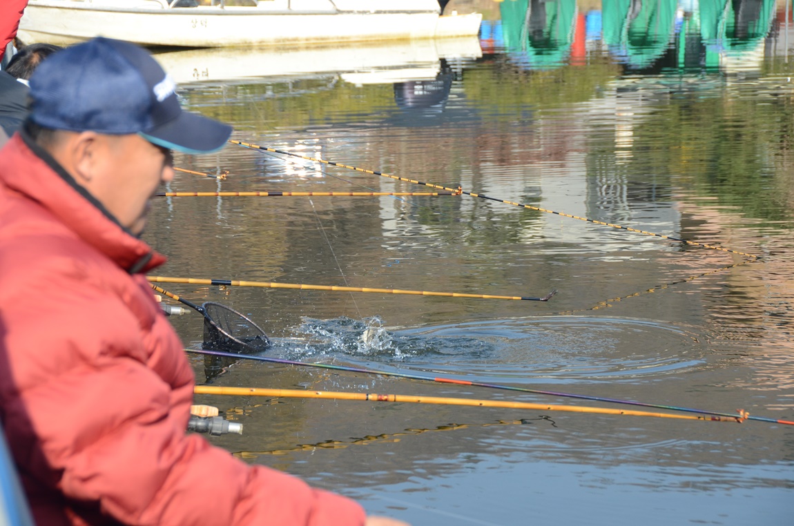 DSC_0001.JPG
