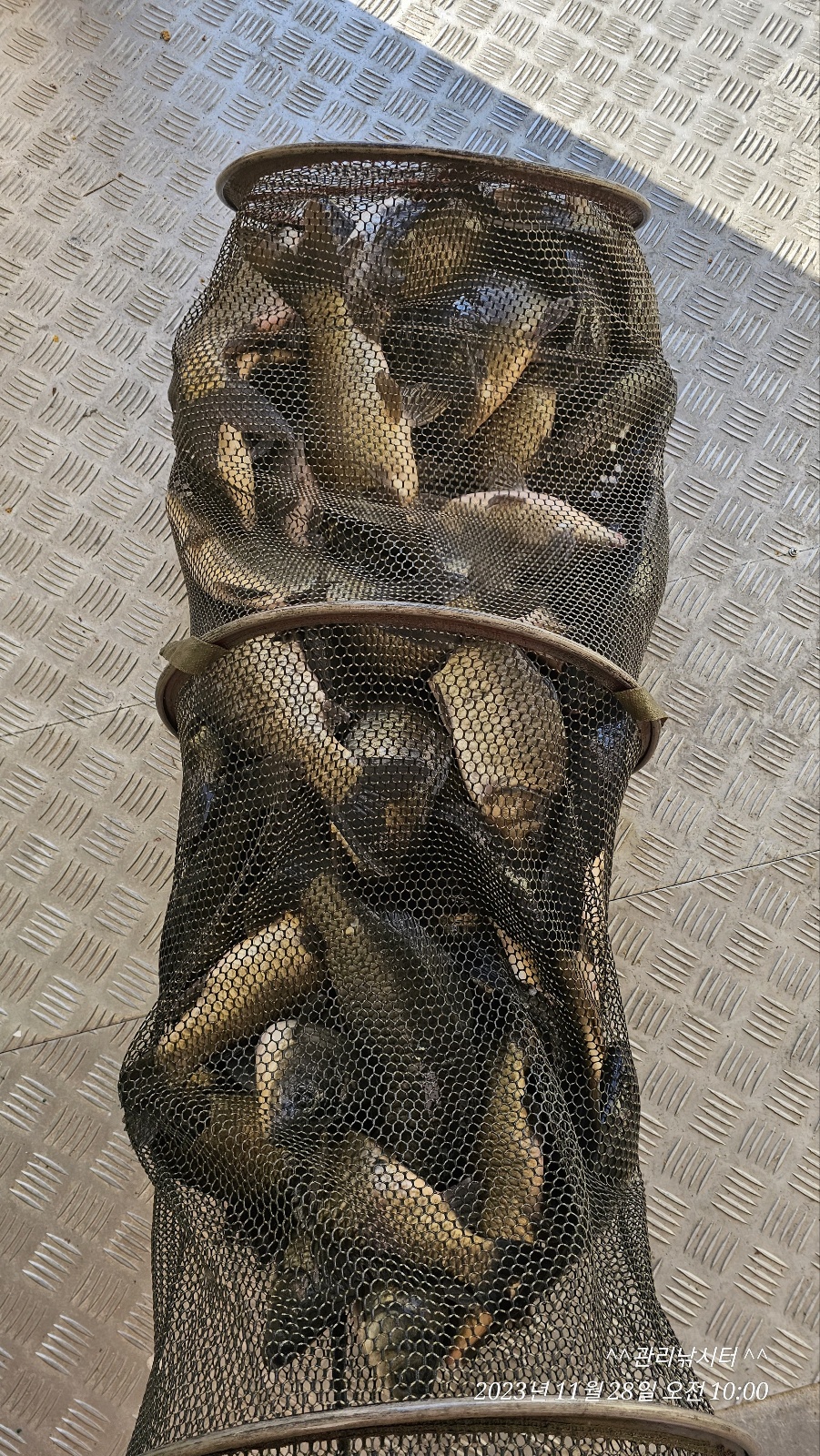 KakaoTalk_20231128_181301470_16.jpg