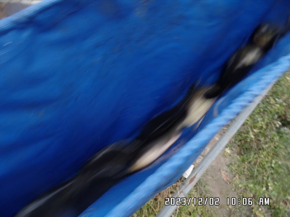 SAM_8895.JPG