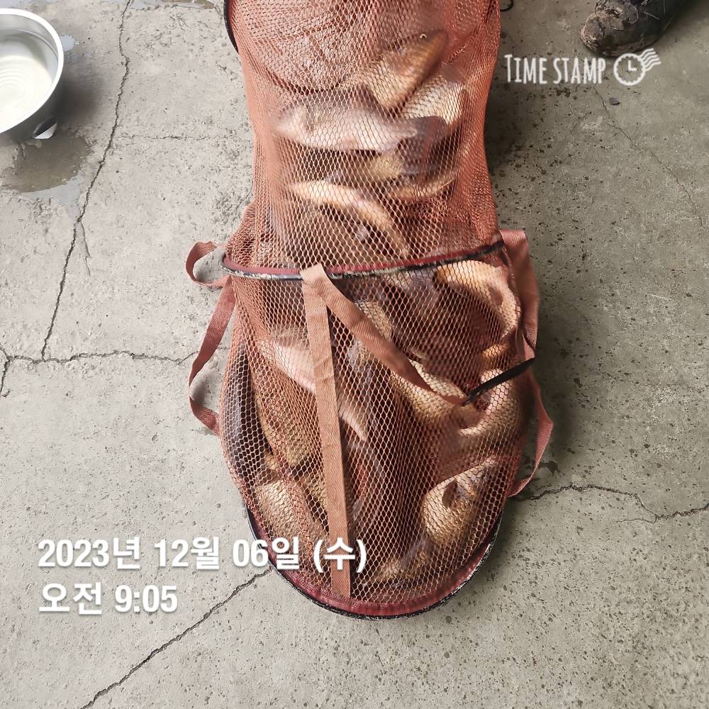 1702021291553.jpg