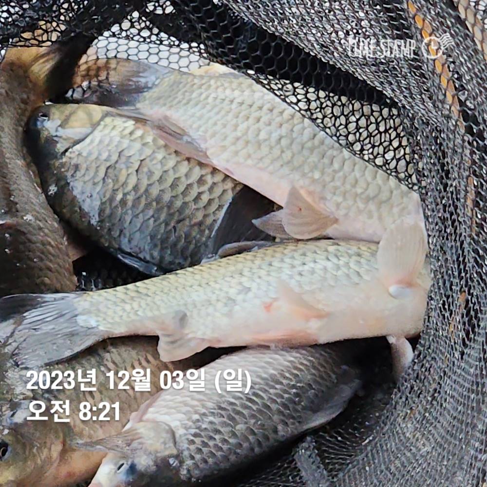 1702021293023.jpg