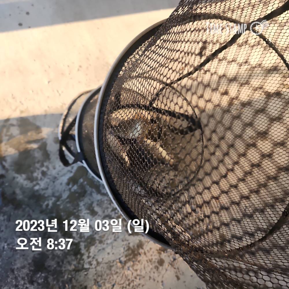 1702021293381.jpg