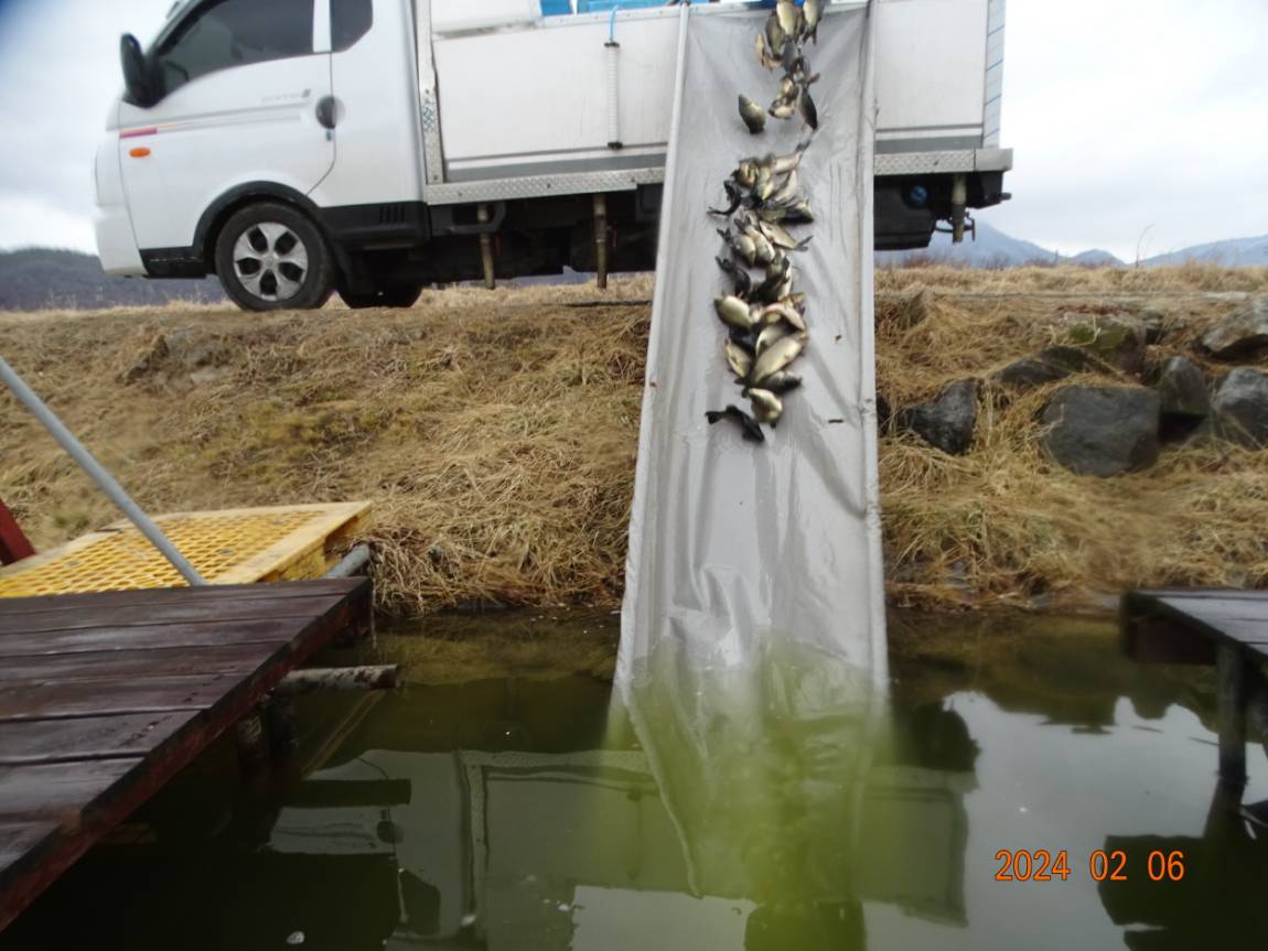 [ũ⺯ȯ]DSC08013.JPG
