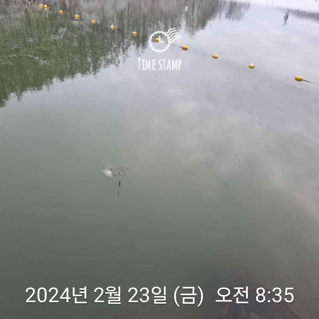 1708645534300.jpg
