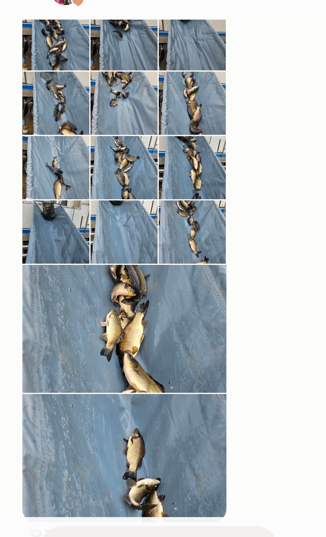 Screenshot_20240330_120123_Messages.jpg