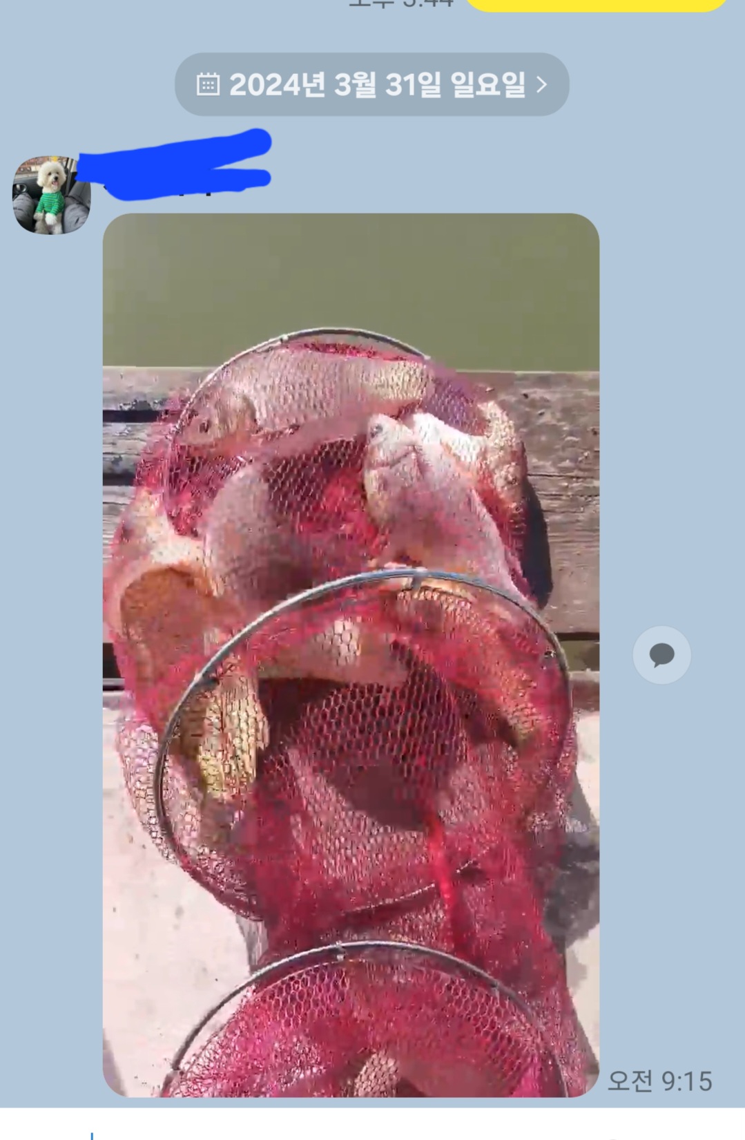 Screenshot_20240331_102928_KakaoTalk.jpg